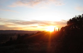 Das Licht von Assisi - Assisifahrt 2019