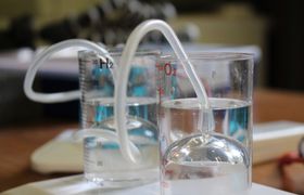 FGN erneut als MINT-Spitzenschule bestätigt