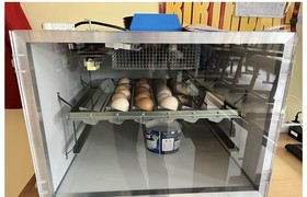Ein Brüter für das Kükenprojekt der Gebrüder-Grimm-Grundschule Rheinbreitbach